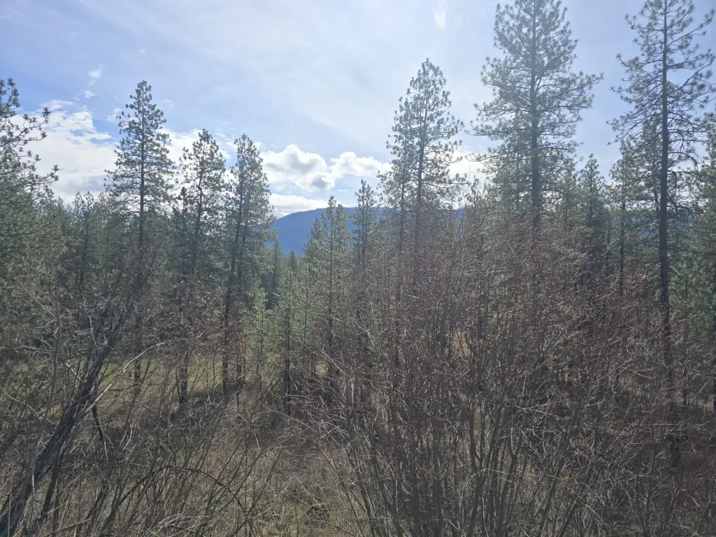 Picture 5