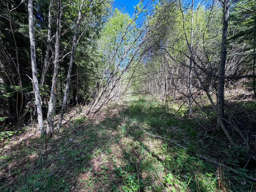 Picture 19