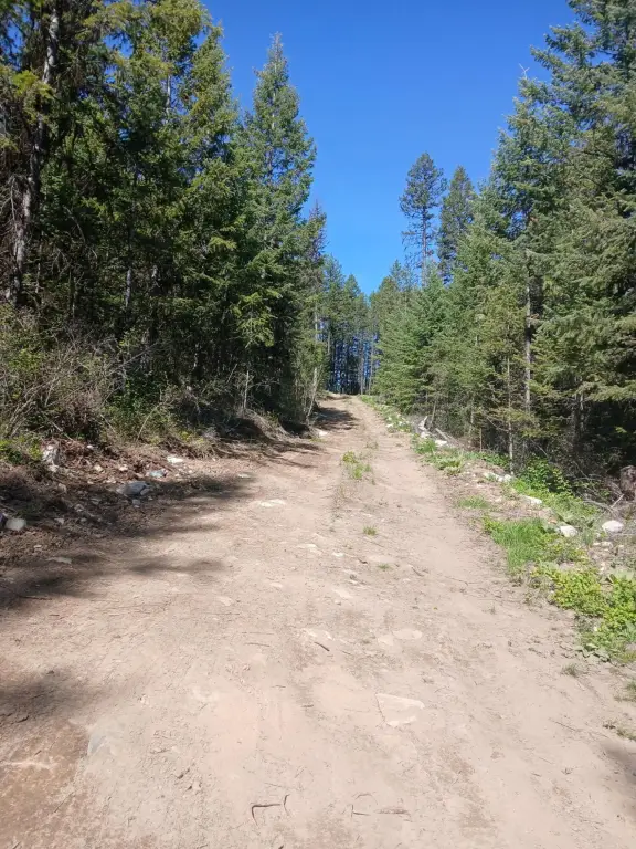 Picture 2
