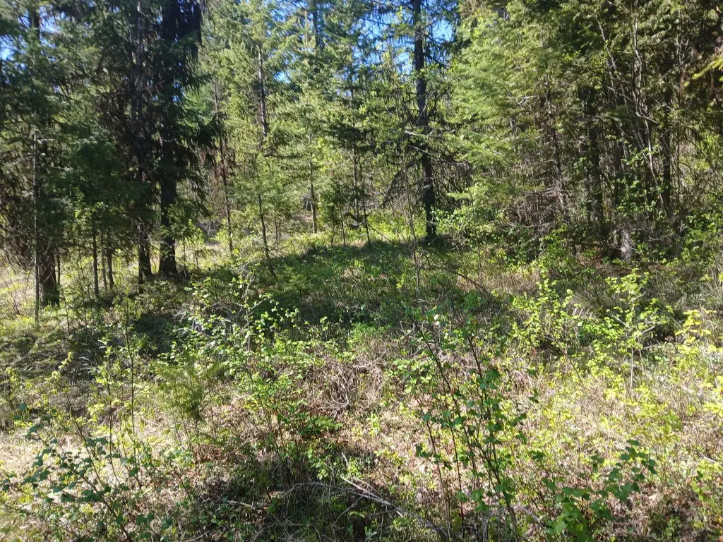 Picture 6