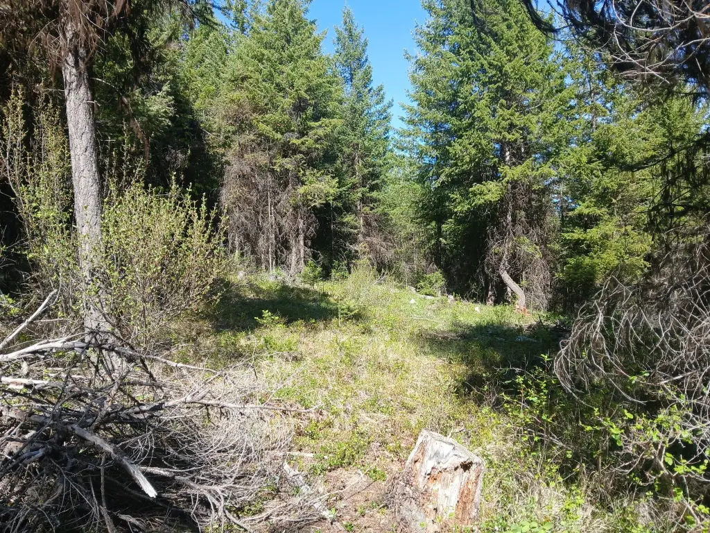 Picture 3