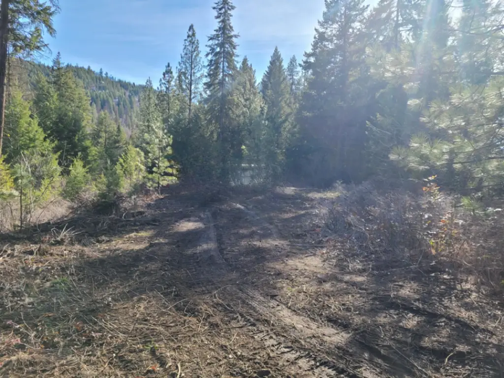 Picture 5