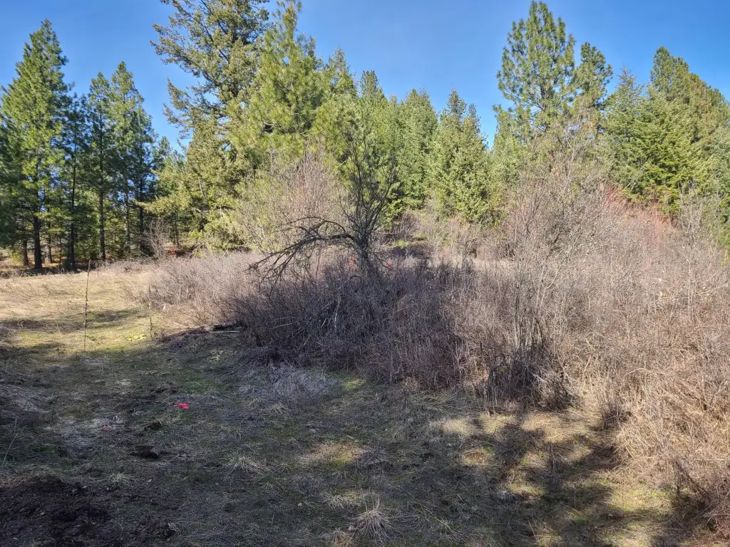 Picture 15