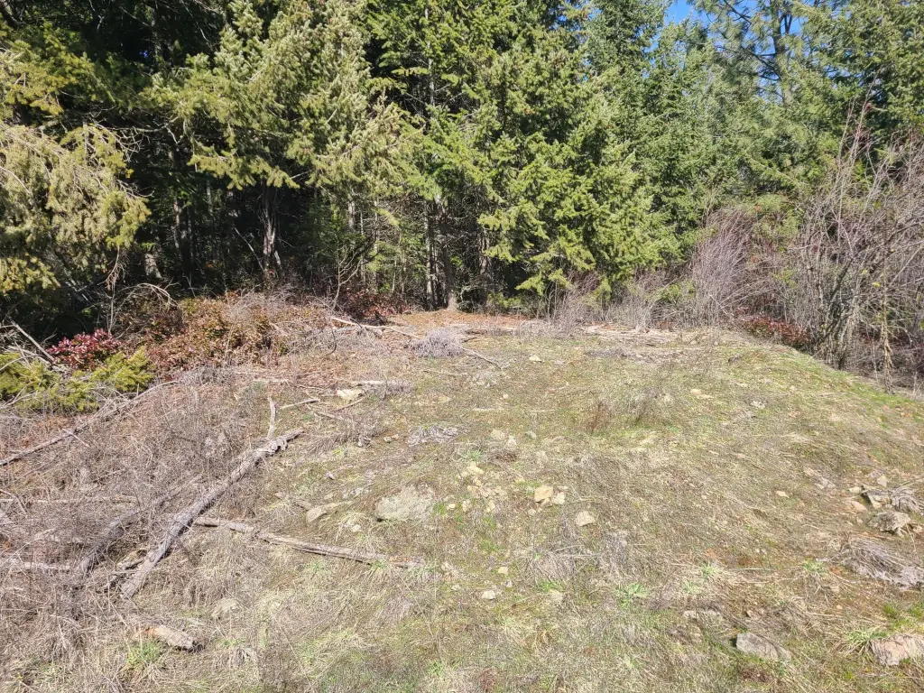 Picture 16