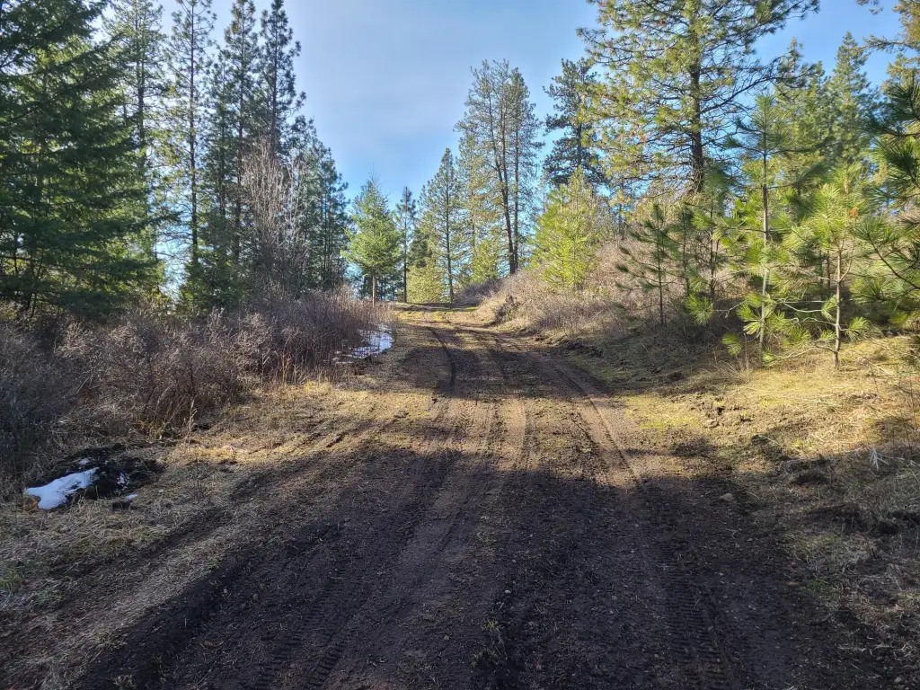 Picture 6