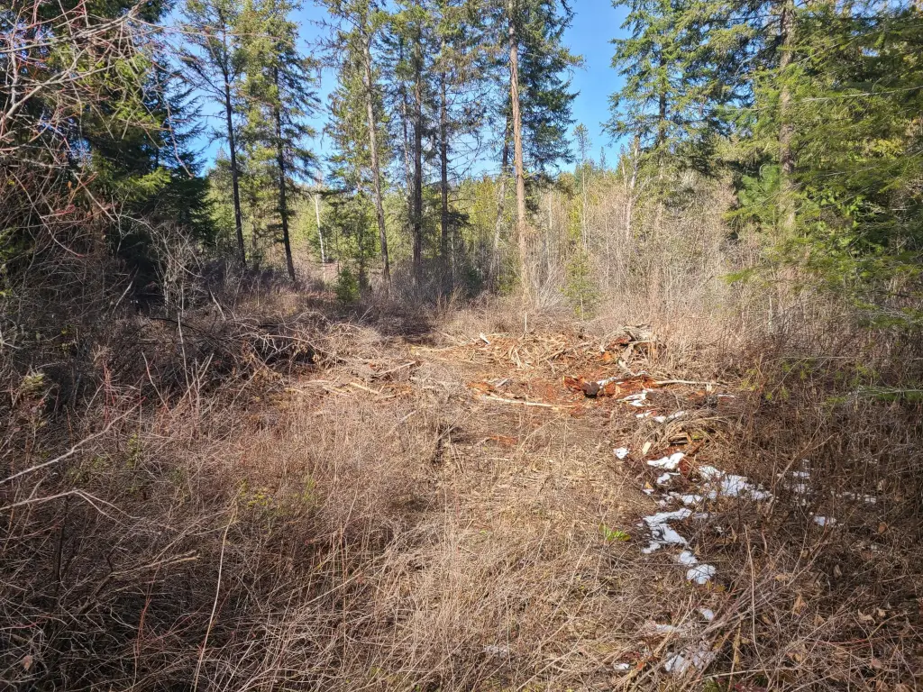 Picture 19