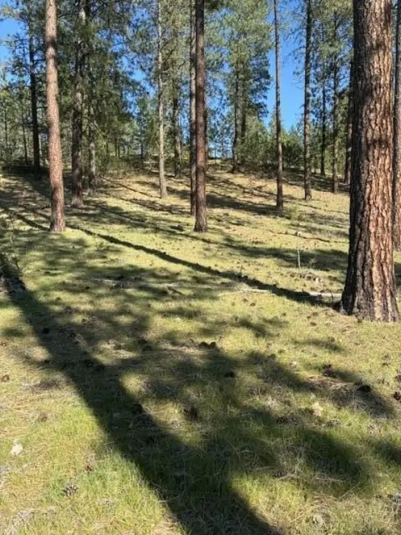 Picture 13