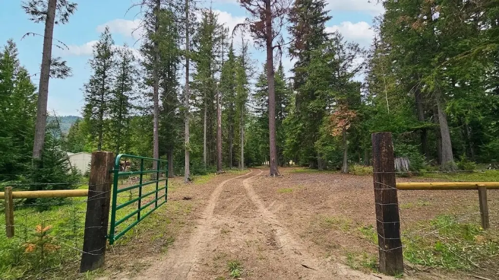 Picture 15