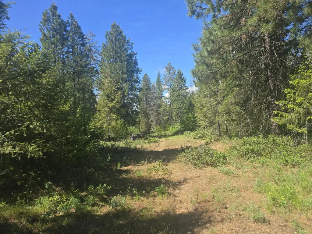 Picture 3