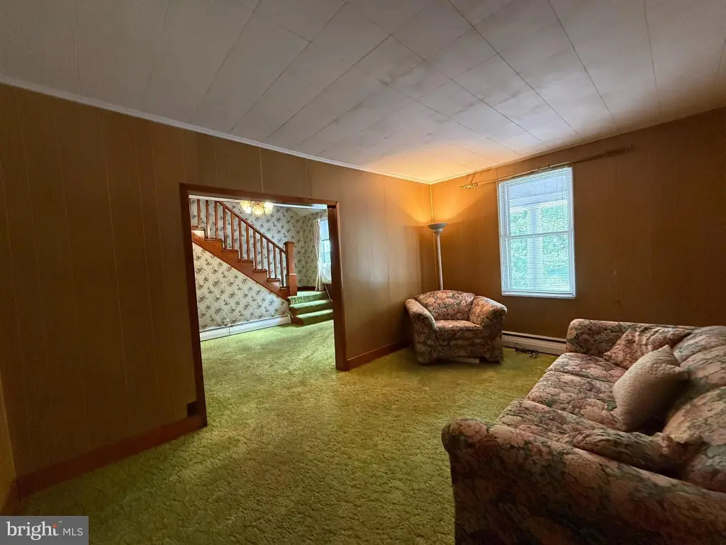 Picture 5
