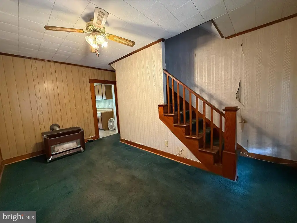 Picture 14