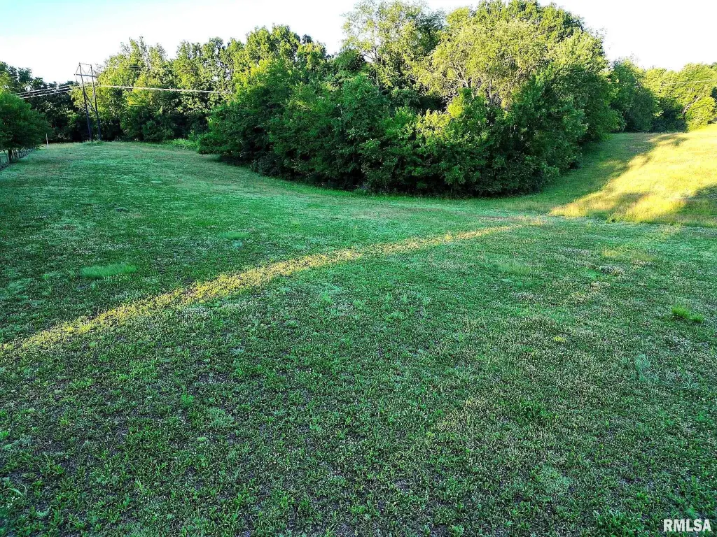 Picture 14