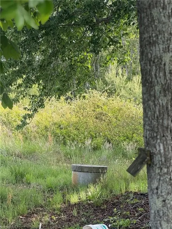 Picture 30