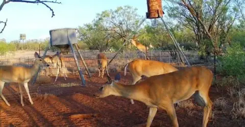 Westbrook Ranch with Farm Equipment