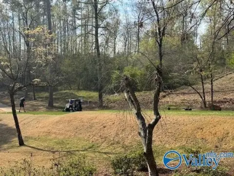 Gunters Landing Building Lot