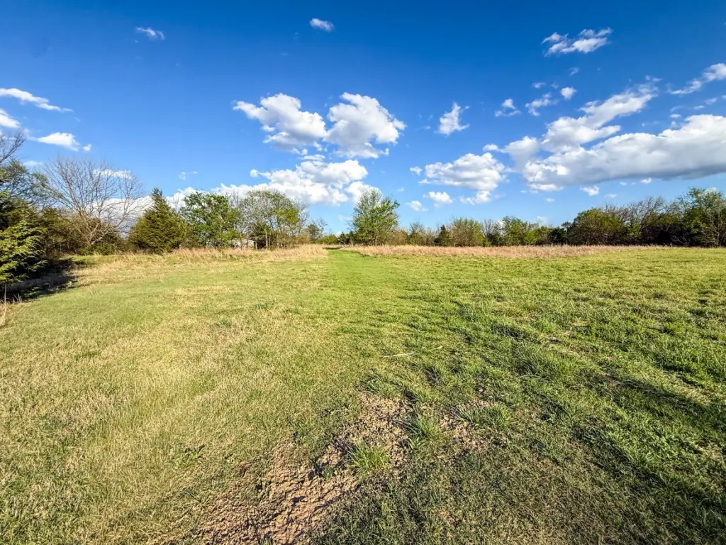 Picture 46