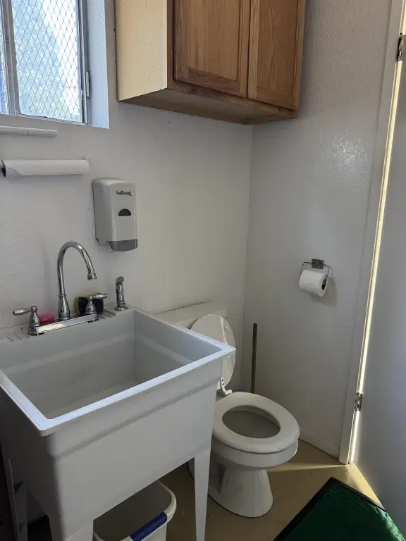 Picture 14