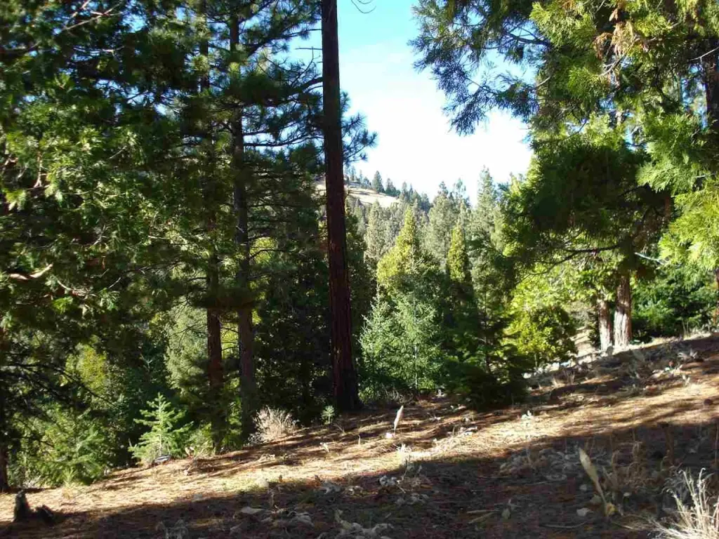 Picture 4