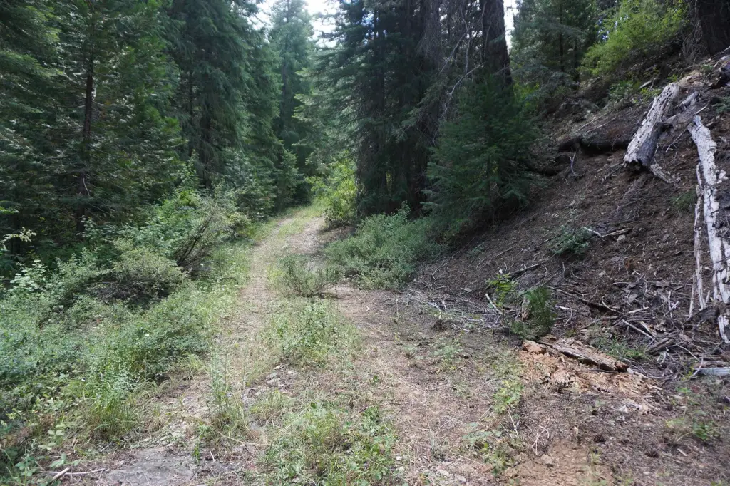 Picture 7