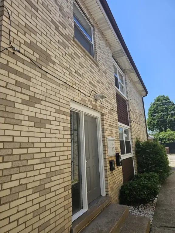Picture 5