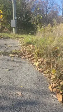 Residential Land in Bloomington, Indiana