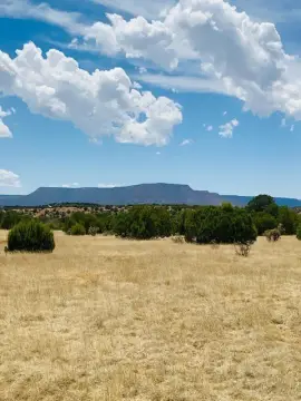 Fenced Rural Residential Acreage