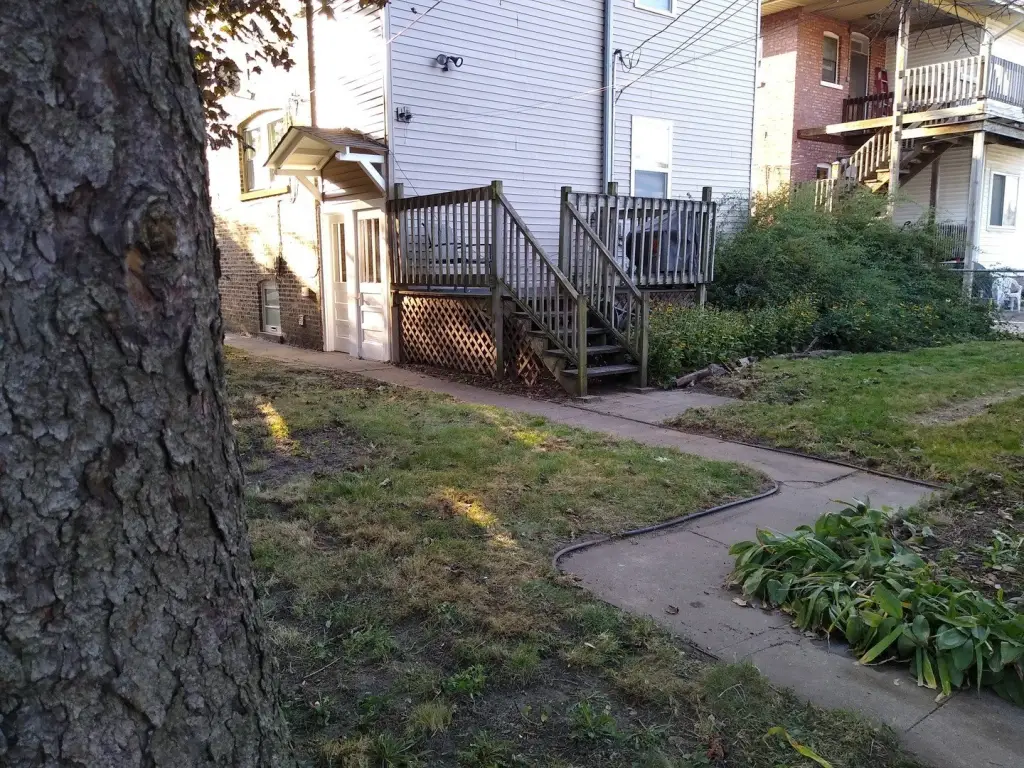 Picture 13