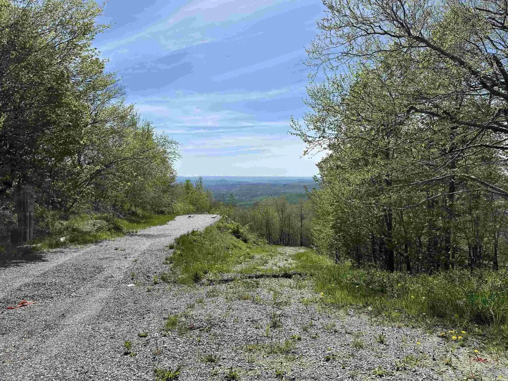 Picture 23