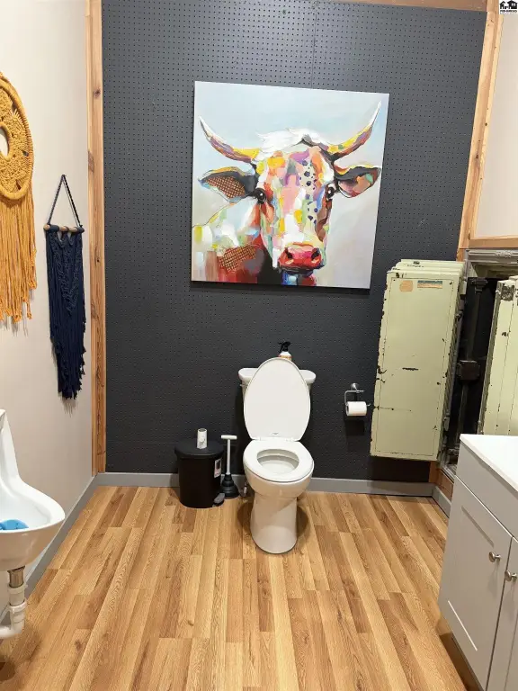 Picture 19