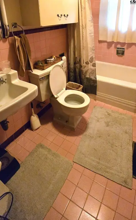 Picture 7
