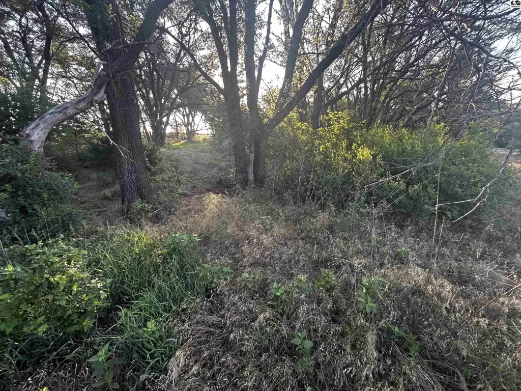 Picture 22