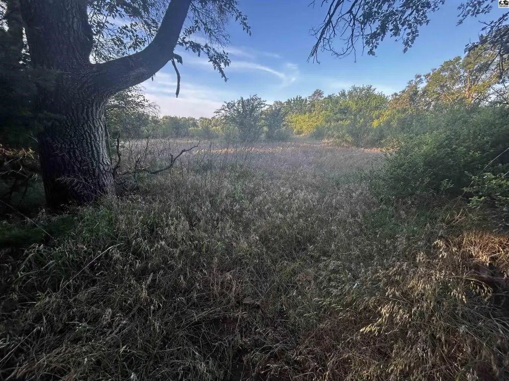 Picture 25