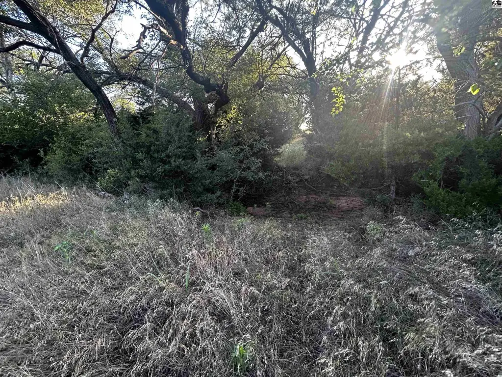 Picture 41