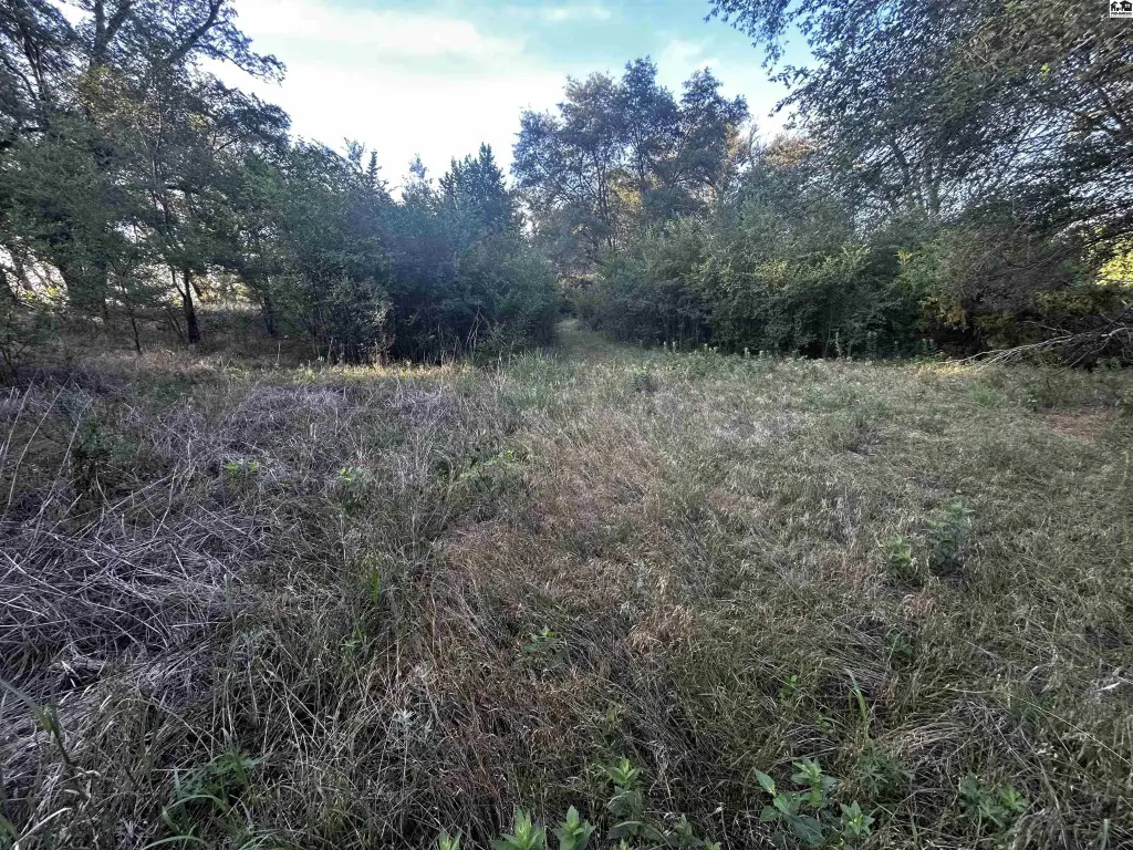 Picture 43