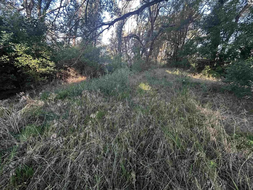 Picture 44