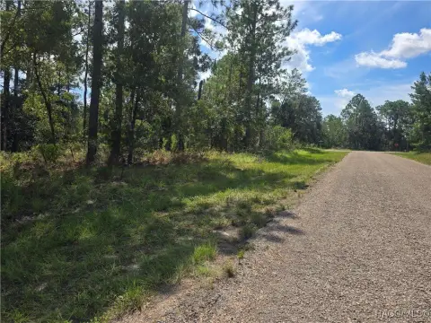 Picture of Land at N June Ter 7441, Dunnellon, FL