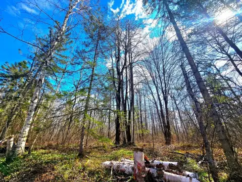 Waterfront Land with Deeded Deer Lake Access