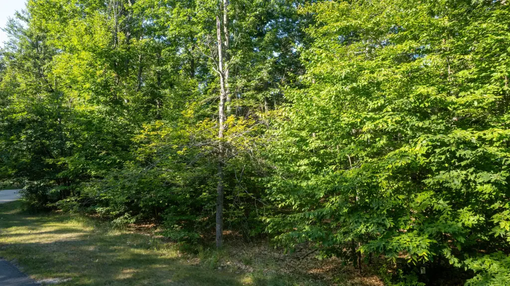 Picture 11