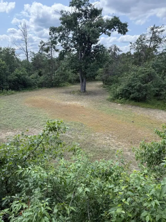 Picture 28