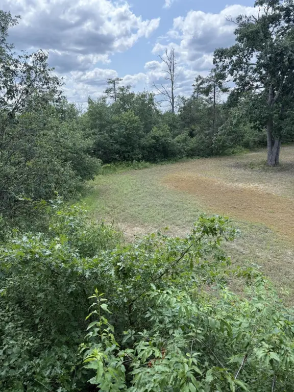 Picture 29