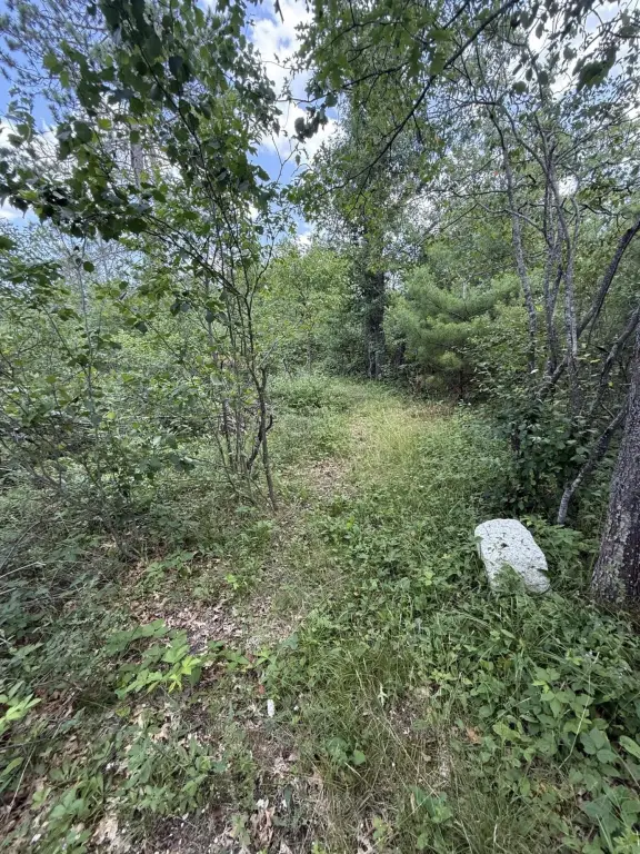 Picture 39