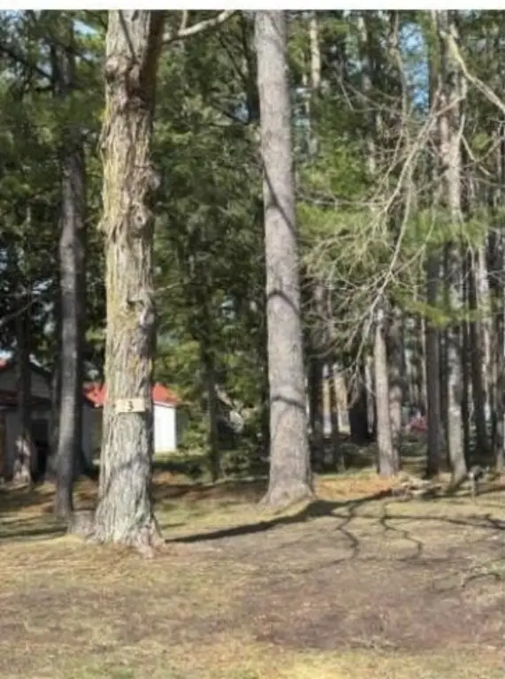 Picture 24