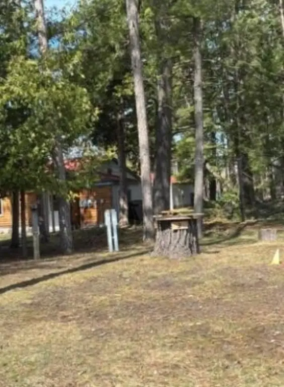 Picture 23
