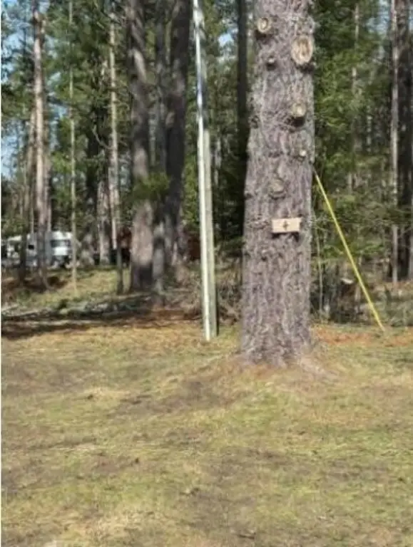 Picture 25