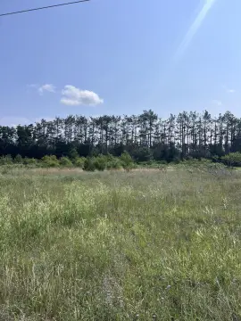 Level Commercial Land