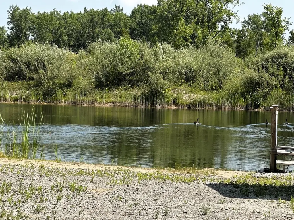 Picture 16