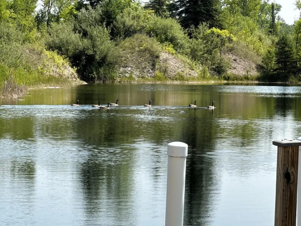 Picture 3
