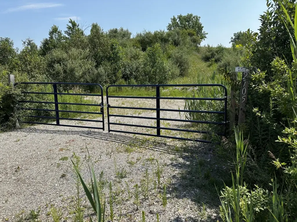 Picture 6