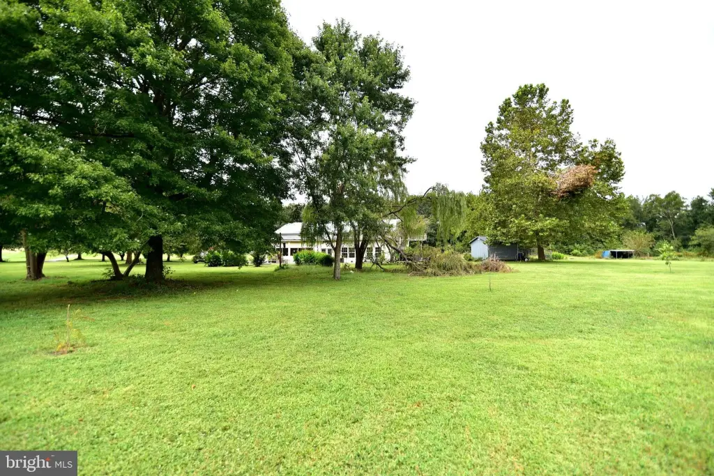Picture 27