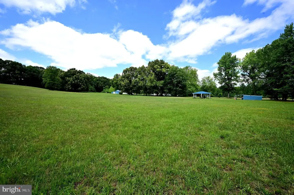 Picture 48